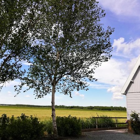 Jo'S B&B Purmer Exterior foto